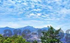 麻豆约拍类似的app-麻豆约拍，数字时代的创意新风尚